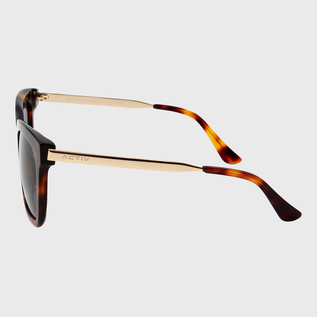 ACTIV - MBC Gloss Tortoise & Gold